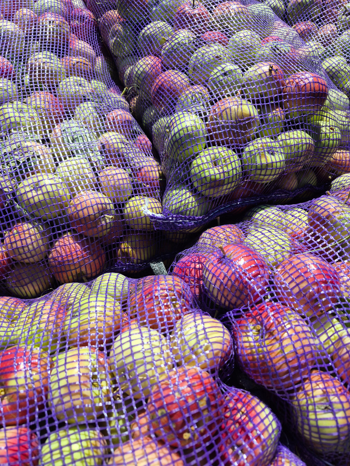 Pommes à chevreuil 35lbs🍎