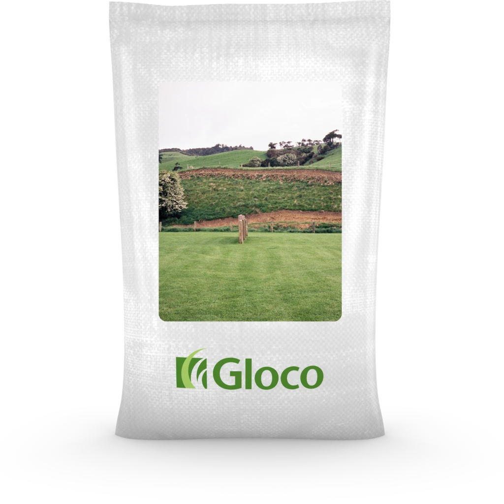 Semence à gazon format économique "Gloco" 40-40-20